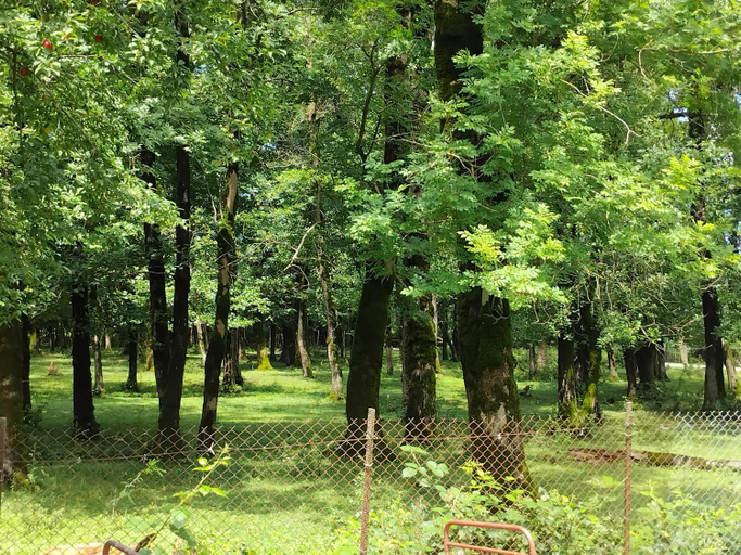 Others 2, House in the forest, Samtredia
