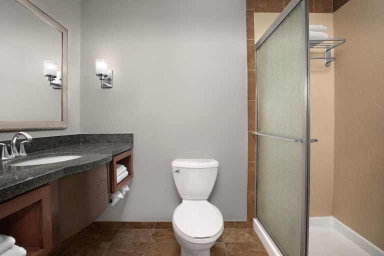 Bathroom 4, Holiday Inn & Suites Durango Downtown by IHG, La Plata