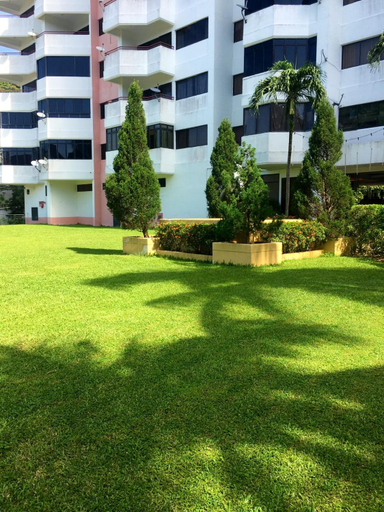 Scenery 1