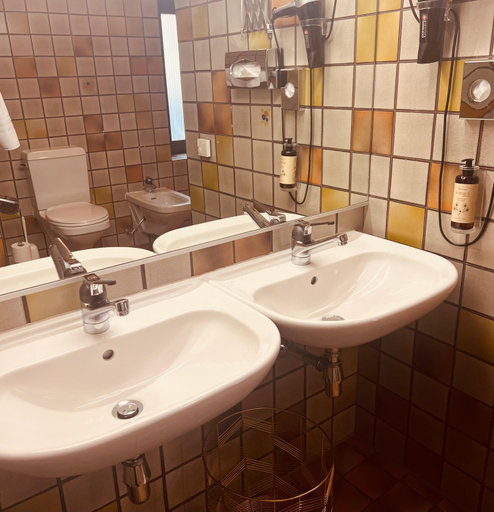 Bathroom 3, Piazza Ascona Hotel & Restaurants, Locarno