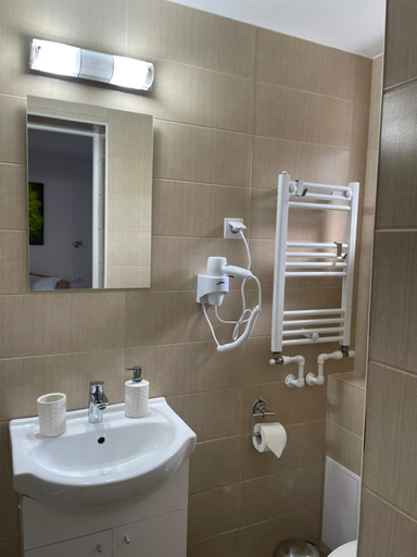 Bathroom 1, Casa Milla, Sovata