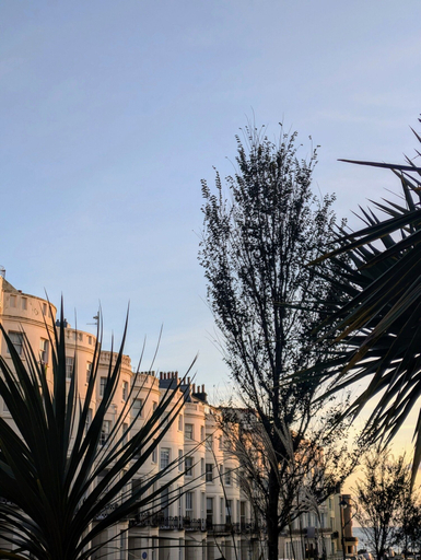 Exterior & Views 2, Lansdowne House, Brighton and Hove