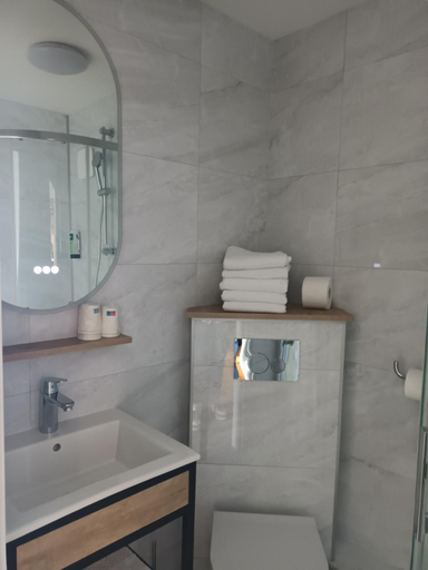Bathroom 3, Hotel-Restaurant Logis l'Aubrac Laguiole, Aveyron