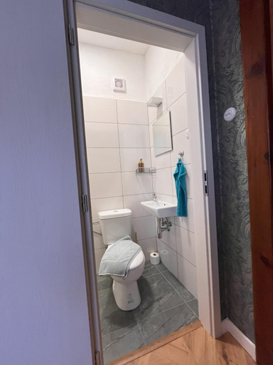 Bathroom 3, Apartments Zamocek Stare casy, Poprad