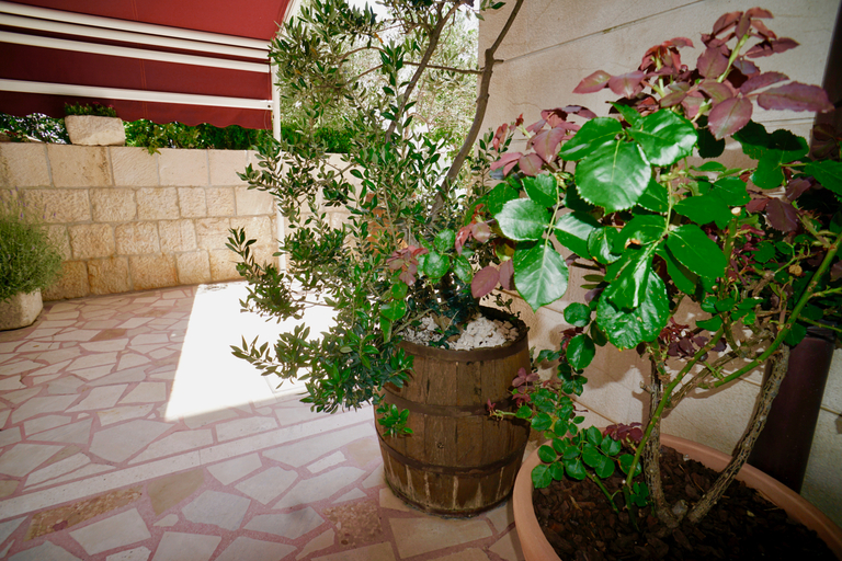 Public Area 3, Villa Rustica Dalmatia Depadance, Seget
