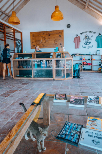 Food & Drinks, Blue Marlin Dive Gili Air, Lombok