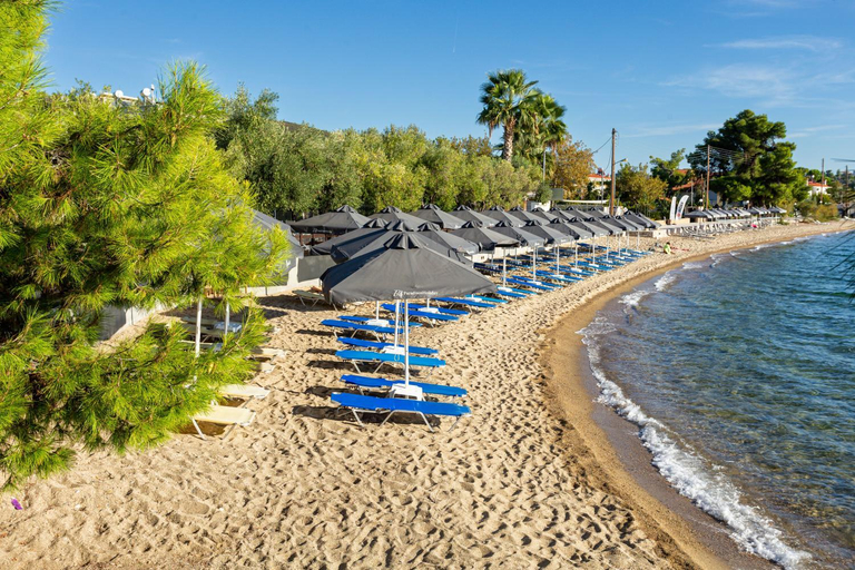 Others 4, Paradisos Holiday, Central Macedonia