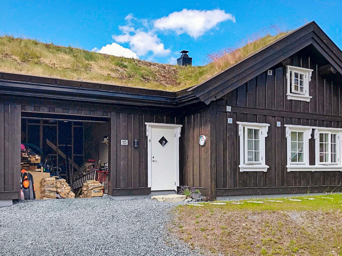Exterior 2, 10 Person Holiday Home in Rauland, Vinje
