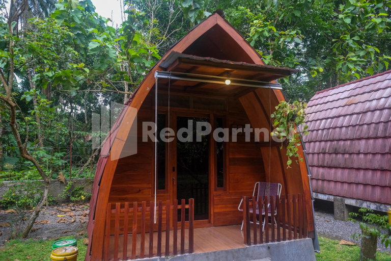 Sauna 2