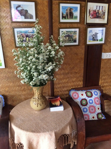 Public Area 2, Little Home, Muang Chiang Mai