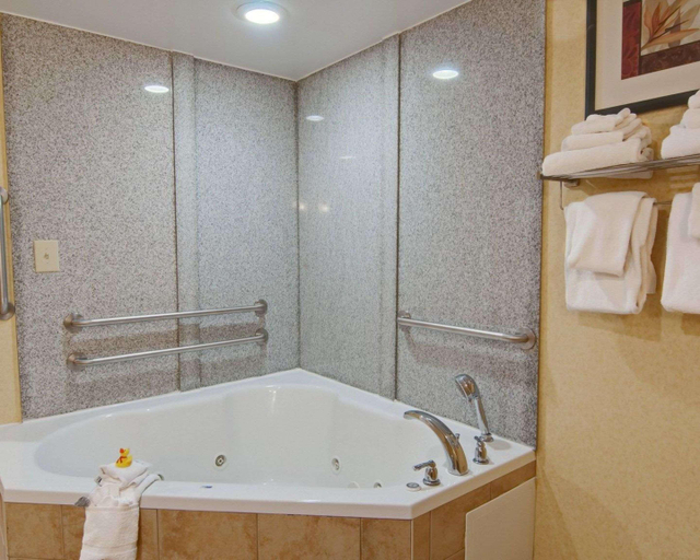 Bathroom 4, Comfort Suites Salem-Roanoke I-81, Salem