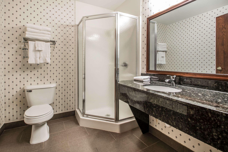 Bathroom 4, Comfort Suites Madison, Dane