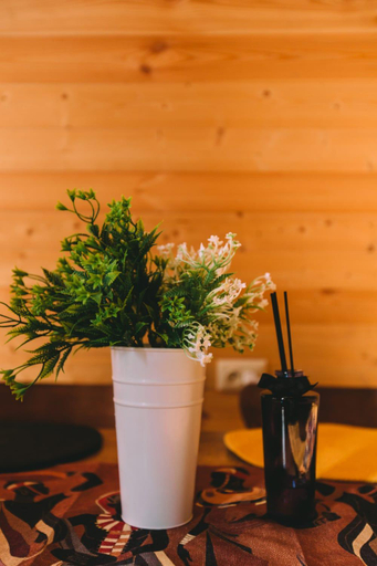 Food & Drinks 5, Cottage lima, Tskaltubo