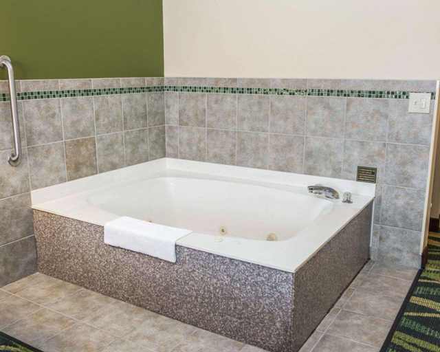 Bathroom 4, Quality Inn & Suites South Bend Airport, Saint Joseph