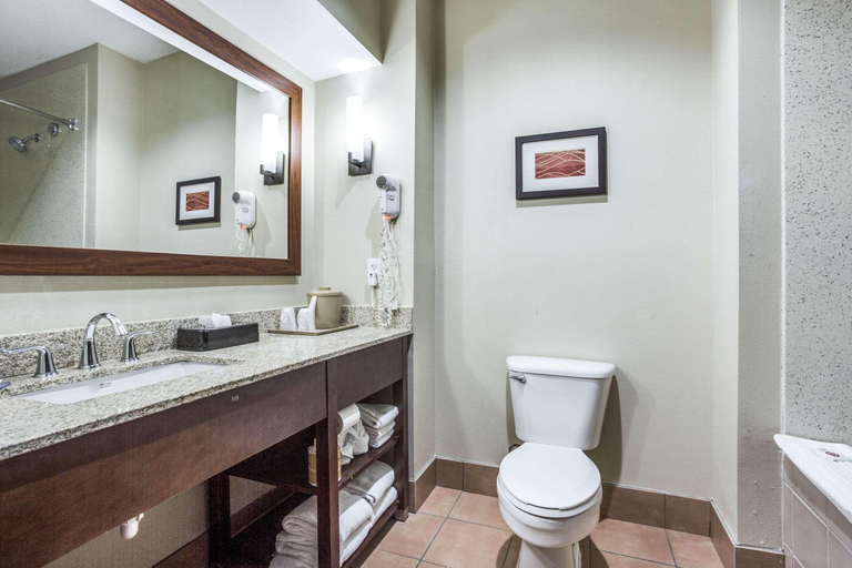 Bathroom 4, Comfort Inn & Suites Market Center, Dallas