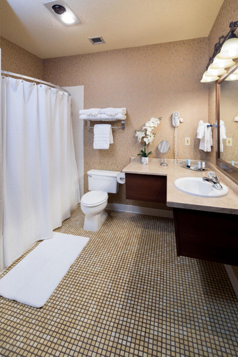 Bathroom 4, Grand Gateway Hotel, Pennington