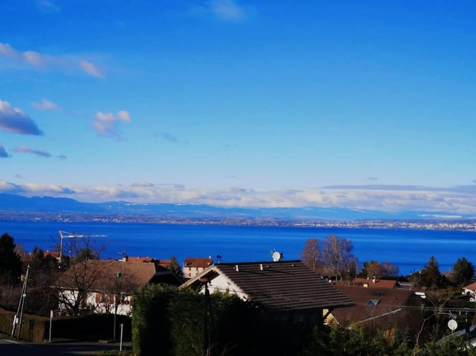Others 3, Logement avec billard, home cinema et terrasse privatises, Haute-Savoie