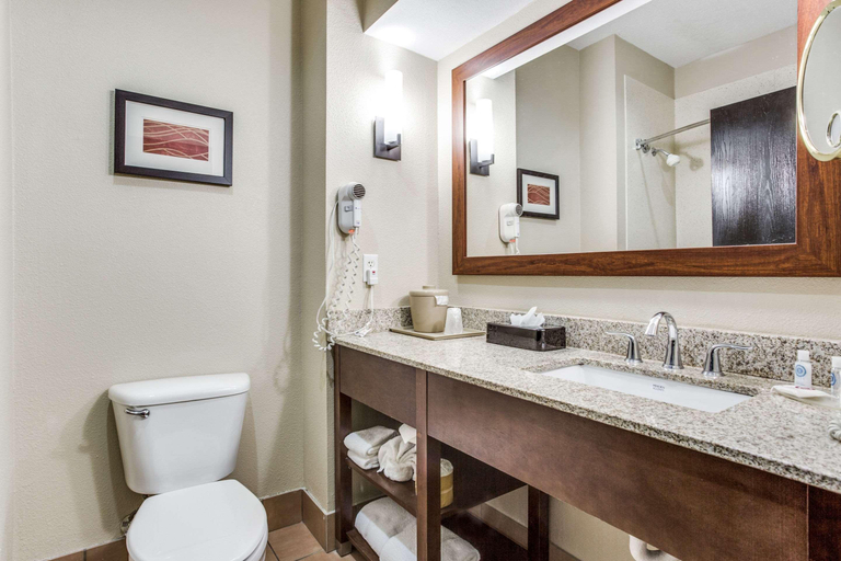 Bathroom 4, Comfort Inn & Suites Market Center, Dallas