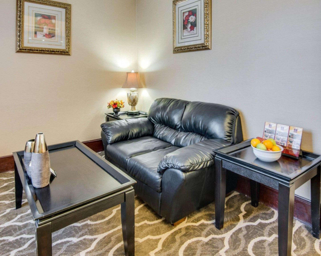 Public Area 3, Comfort Suites Bossier City, Caddo
