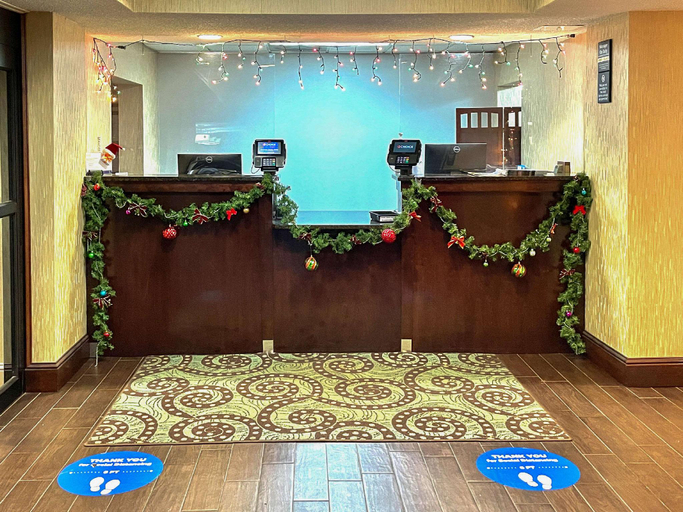 Public Area 2, Comfort Inn Darien - North Brunswick, McIntosh