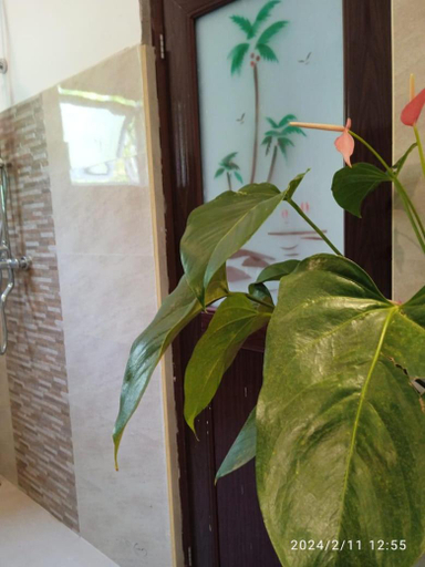 Others 5, Mount Edge Villa, Habaraduwa