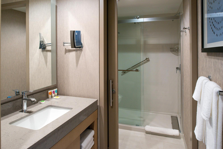 Bathroom 4, Hyatt Place Chicago/Wicker Park, Cook