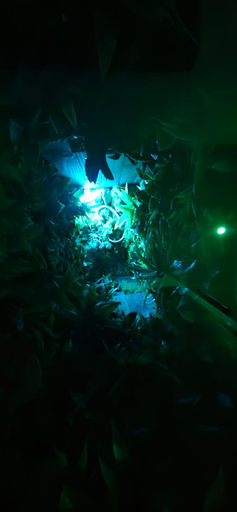 Others 5, La Jungle Room, Bouches-du-Rhône