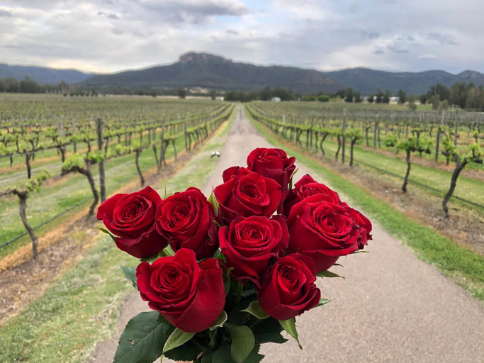Nightingale Wines Luxury Villas, Singleton
