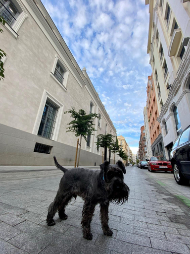 Others 2, Home sharing La Justicia, Madrid