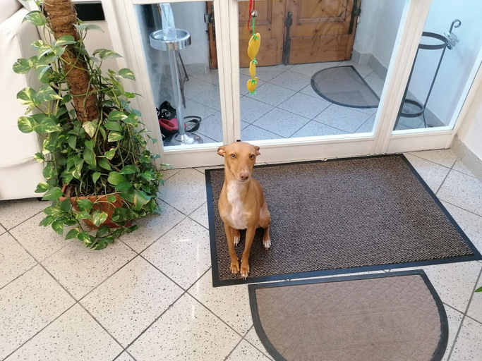 Public Area 3, Hotel Cilene, Lucca