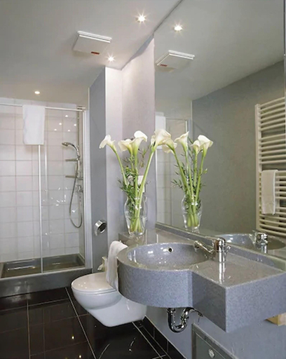 Bathroom 5, ARA-Hotel Comfort, Ingolstadt