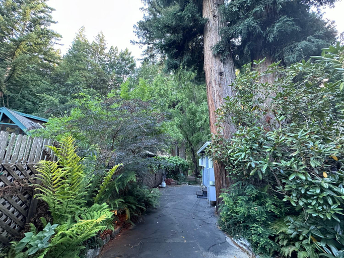 Others 3, Either Way Hideaway, Santa Cruz
