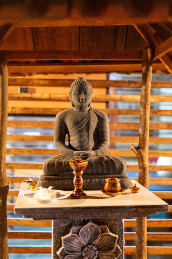 Public Area 3, Ayurvedic Lanka Wellness Hotel, Hingurakgoda