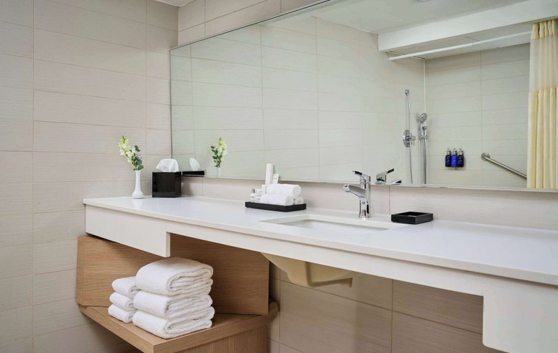 Bathroom 5, Radisson Blu Toronto Downtown, Toronto