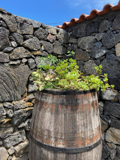 Others 3, Adega do Fogo, São Roque do Pico