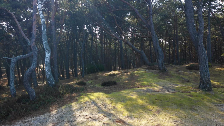 Others 3, Matik Apartamenty i pokoje, Puck