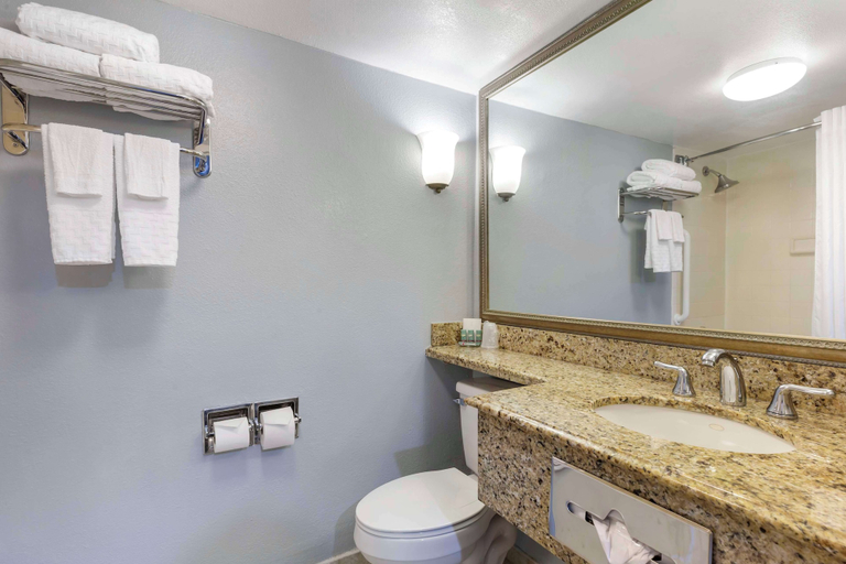 Bathroom 4, Best Western Hartford Hotel & Suites, Hartford