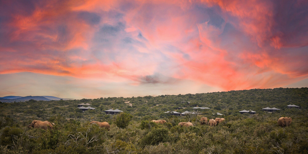 Others 1, Ecca Lodge, Cacadu