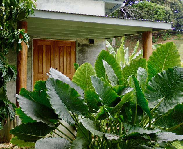 Others 2, Casa Salvaje Vacation Rentals, Bocas del Toro