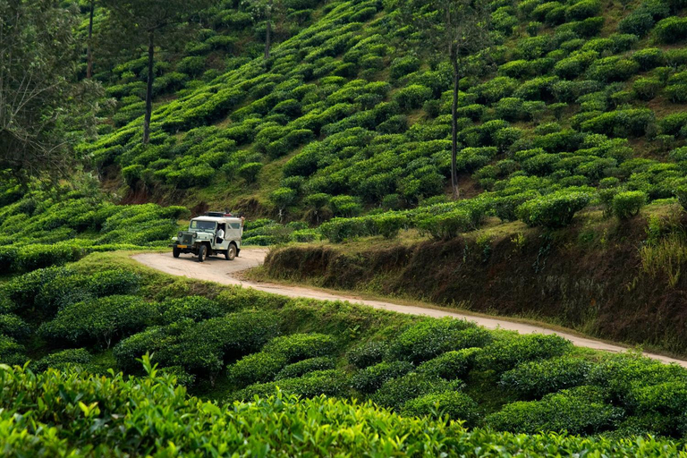 Others 2, SpiceGreen Homestay,Thekkady, Theni