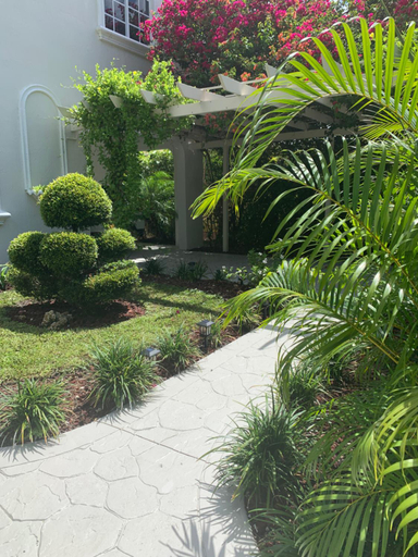Others 3, La Casita, Miami-Dade