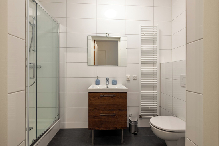 Bathroom 4, Raiffeisenstraat Eindhoven, Eindhoven