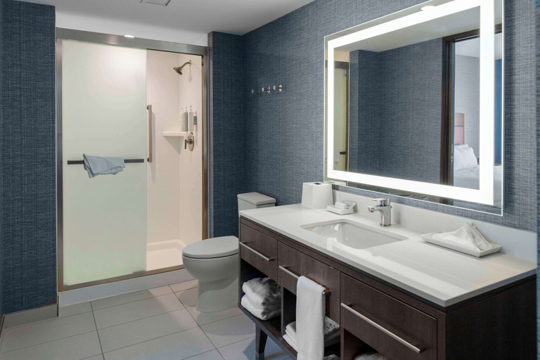 Bathroom 5, Home2 Suites by Hilton Northville Detroit, Wayne