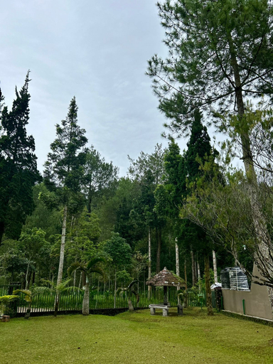 Scenery 16