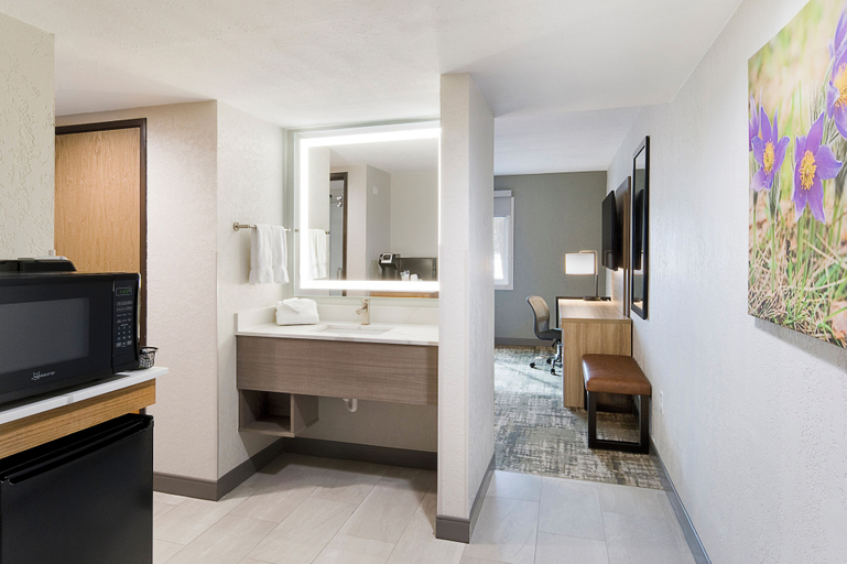 Bathroom 4, Ramkota Hotel, Hughes