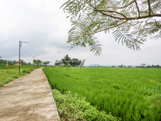 Public Area 4, Homes Desa Wisata Kreatif Perdamaian Sru, Semarang