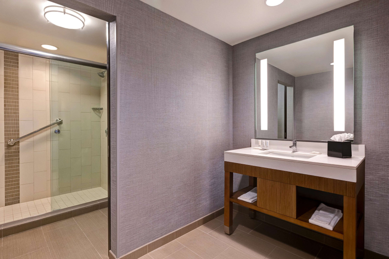 Bathroom 5, Hyatt Place Bloomington/Normal, McLean