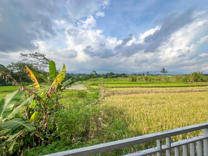 Others 5, Bilqis Homestay Syariah Mitra RedDoorz, Wonosobo