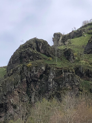 Others 5, La Gentiane, Cantal