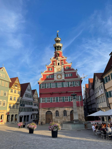 Others 5, SecondHome Stuttgart - sehr schone und moderne Apartments nahe dem historischen Stadtkern von Esslin, Esslingen